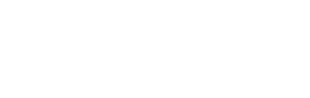 Statusfi logo white